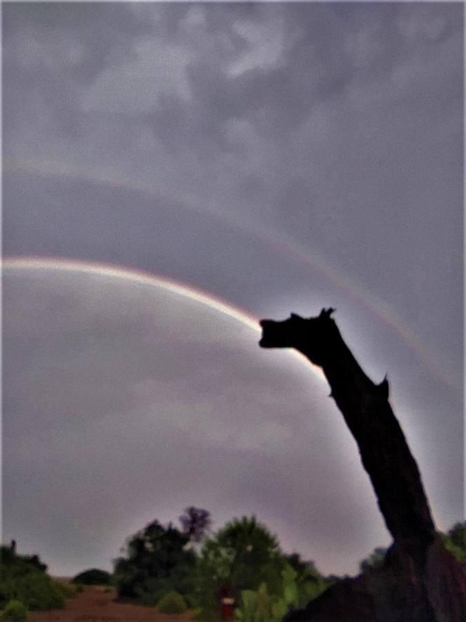 Chimera Pia Aparts Cirali Bagian luar foto