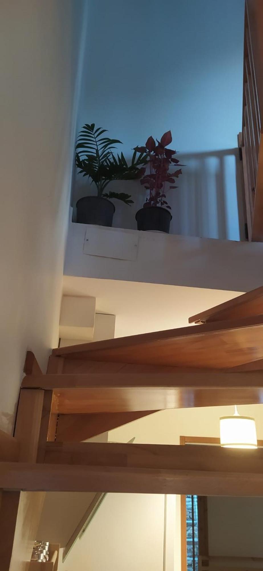 Chimera Pia Aparts Cirali Bagian luar foto